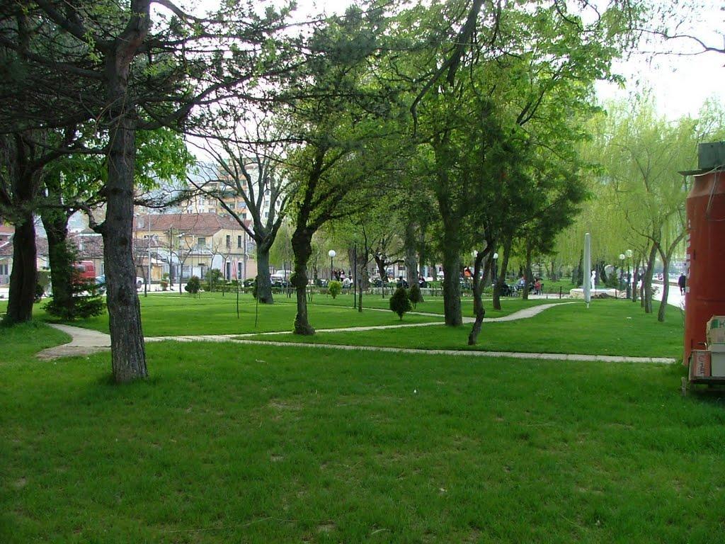 Lake View Pogradec Exteriör bild